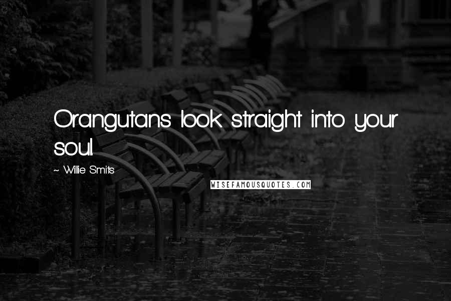 Willie Smits Quotes: Orangutans look straight into your soul.