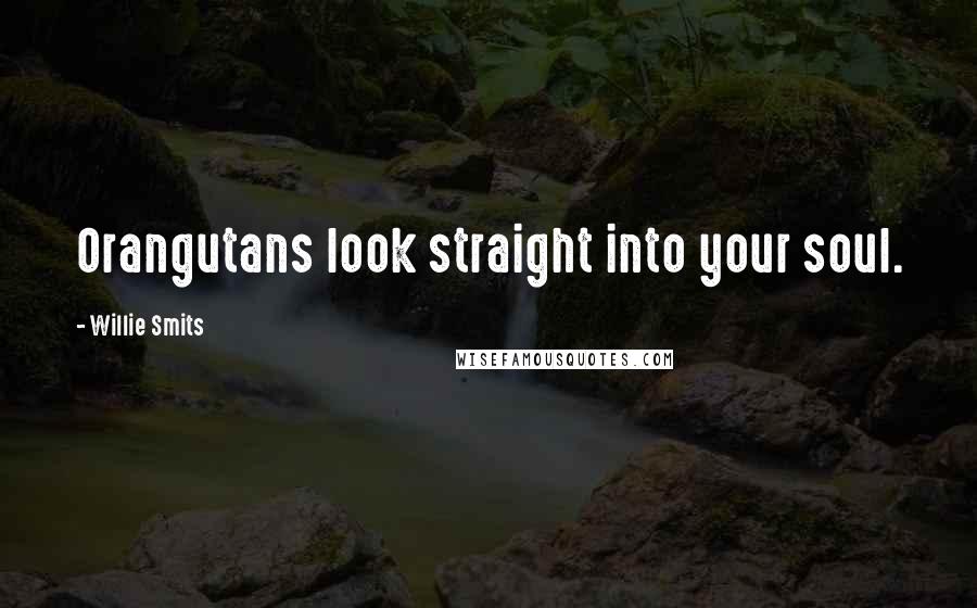 Willie Smits Quotes: Orangutans look straight into your soul.