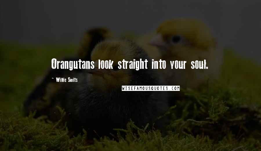Willie Smits Quotes: Orangutans look straight into your soul.