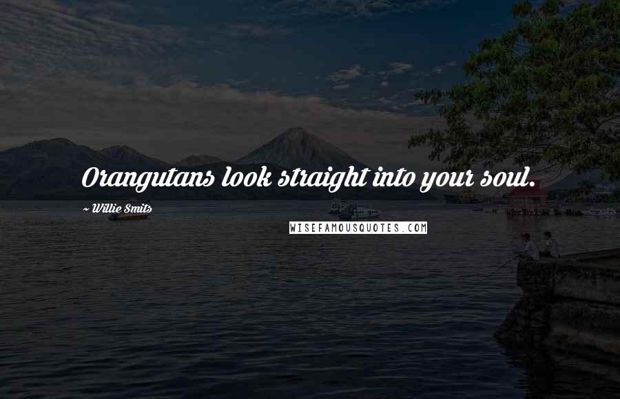 Willie Smits Quotes: Orangutans look straight into your soul.