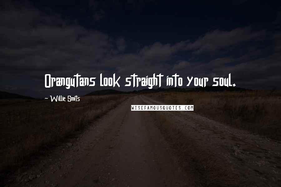 Willie Smits Quotes: Orangutans look straight into your soul.