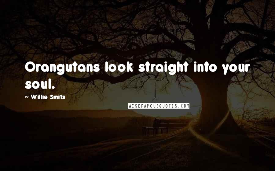 Willie Smits Quotes: Orangutans look straight into your soul.