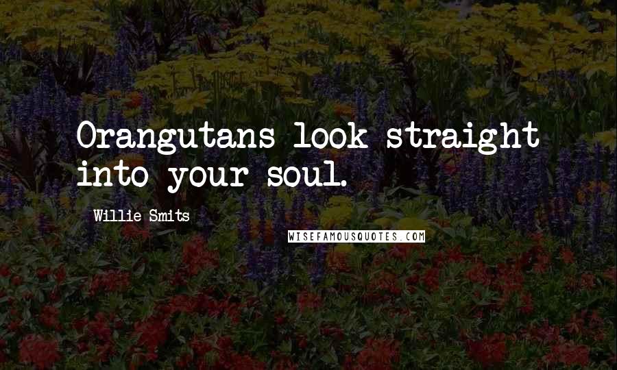 Willie Smits Quotes: Orangutans look straight into your soul.