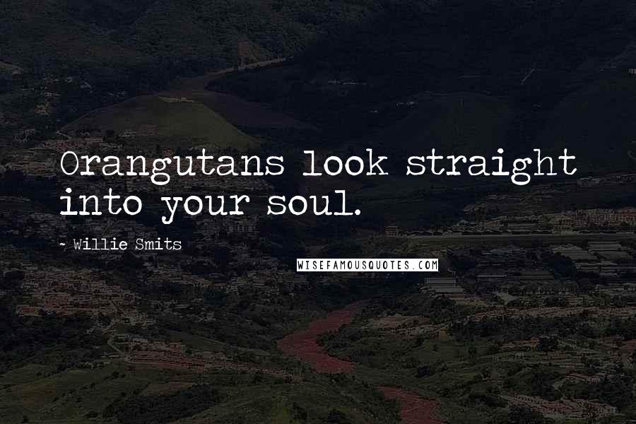 Willie Smits Quotes: Orangutans look straight into your soul.