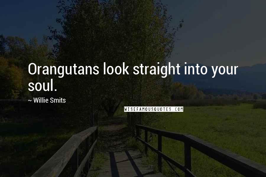 Willie Smits Quotes: Orangutans look straight into your soul.
