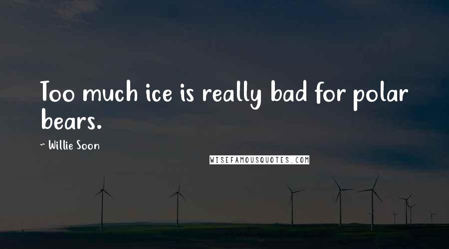 Willie Soon Quotes: Too much ice is really bad for polar bears.