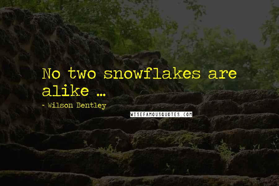Wilson Bentley Quotes: No two snowflakes are alike ...