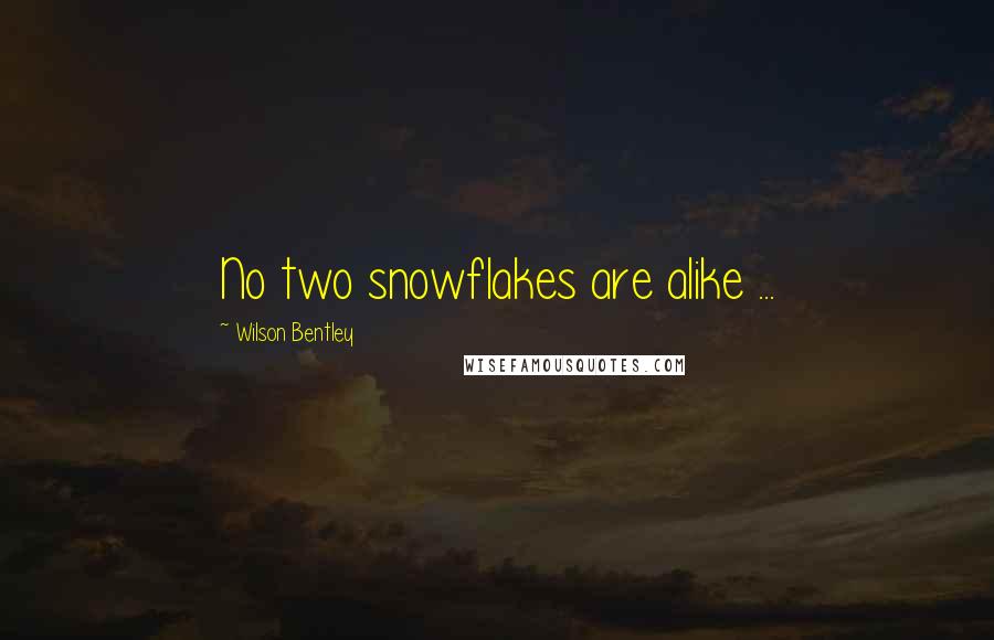 Wilson Bentley Quotes: No two snowflakes are alike ...