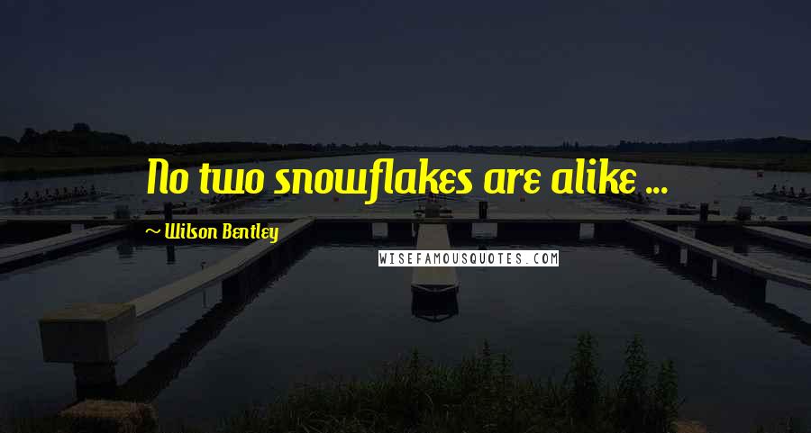Wilson Bentley Quotes: No two snowflakes are alike ...