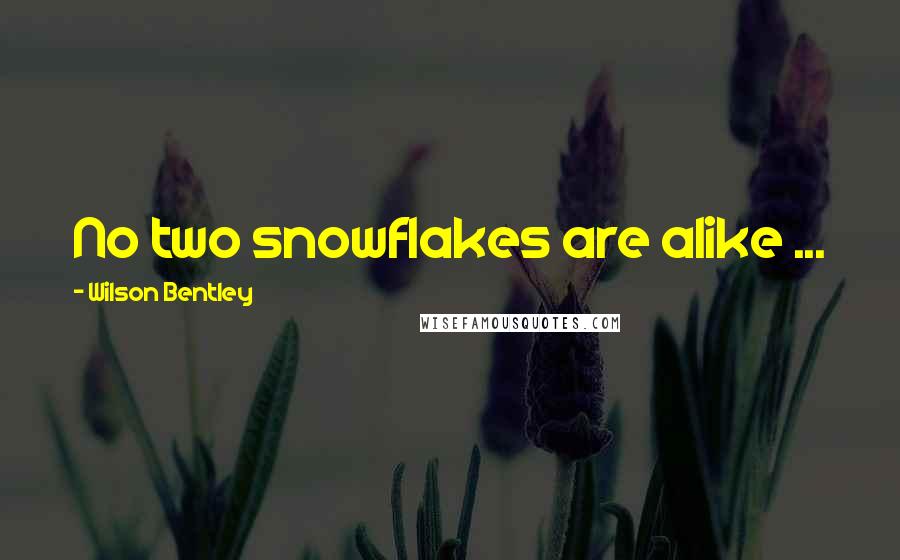 Wilson Bentley Quotes: No two snowflakes are alike ...