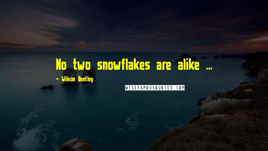 Wilson Bentley Quotes: No two snowflakes are alike ...