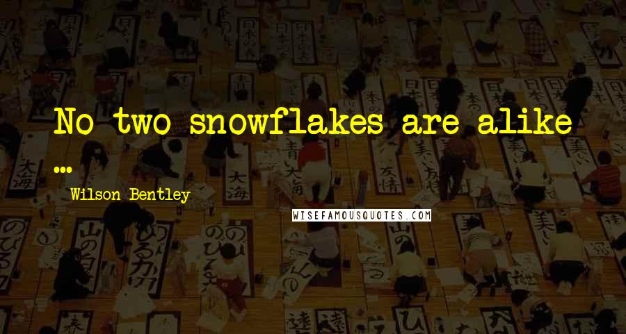 Wilson Bentley Quotes: No two snowflakes are alike ...