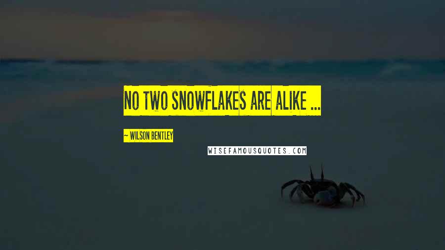 Wilson Bentley Quotes: No two snowflakes are alike ...