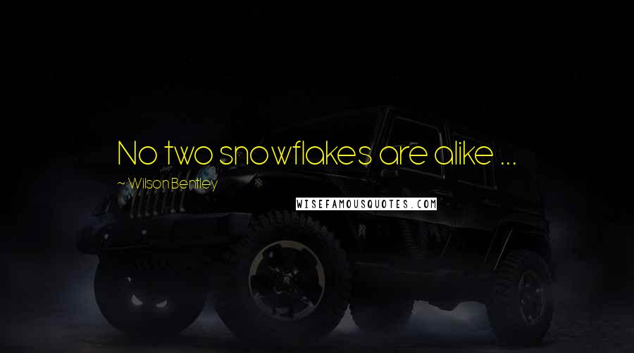 Wilson Bentley Quotes: No two snowflakes are alike ...
