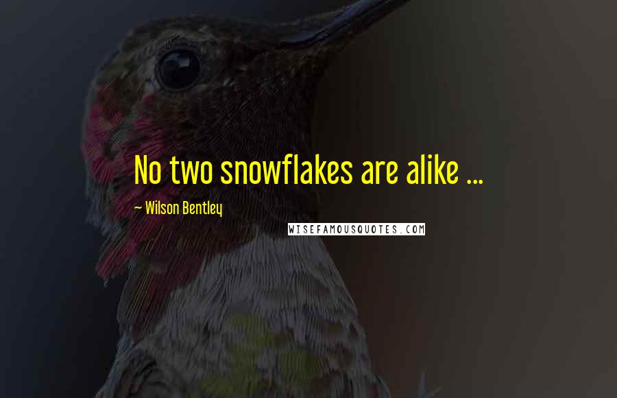 Wilson Bentley Quotes: No two snowflakes are alike ...