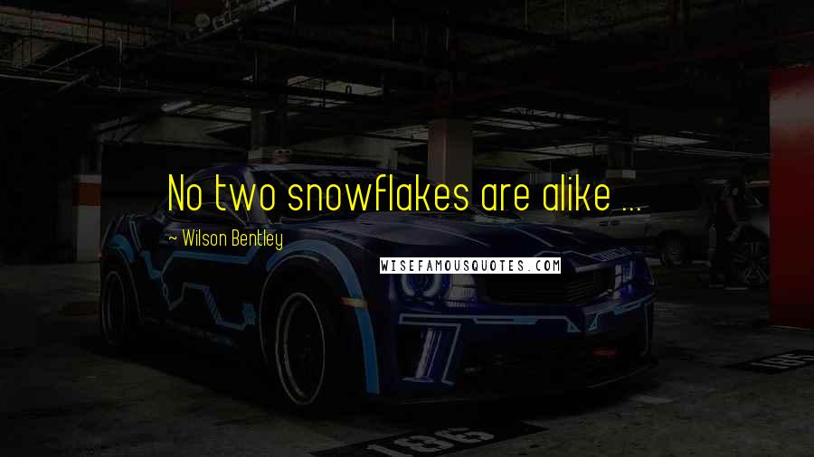 Wilson Bentley Quotes: No two snowflakes are alike ...