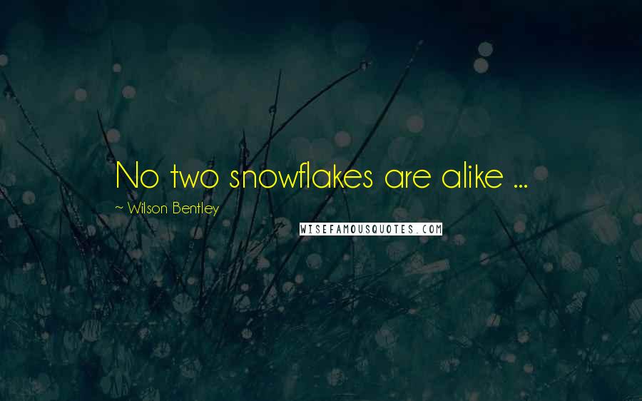 Wilson Bentley Quotes: No two snowflakes are alike ...