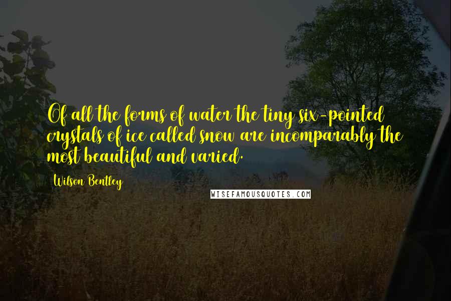 Wilson Bentley Quotes: Of all the forms of water the tiny six-pointed crystals of ice called snow are incomparably the most beautiful and varied.