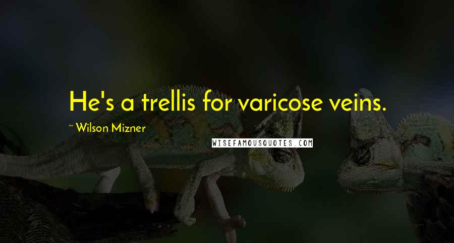 Wilson Mizner Quotes: He's a trellis for varicose veins.