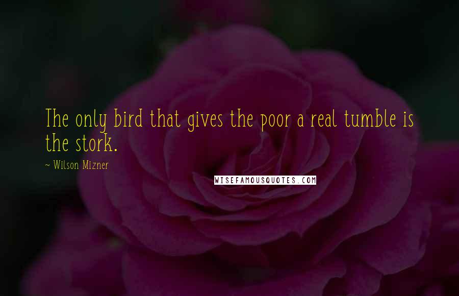 Wilson Mizner Quotes: The only bird that gives the poor a real tumble is the stork.