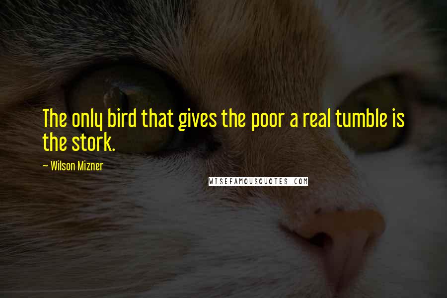 Wilson Mizner Quotes: The only bird that gives the poor a real tumble is the stork.