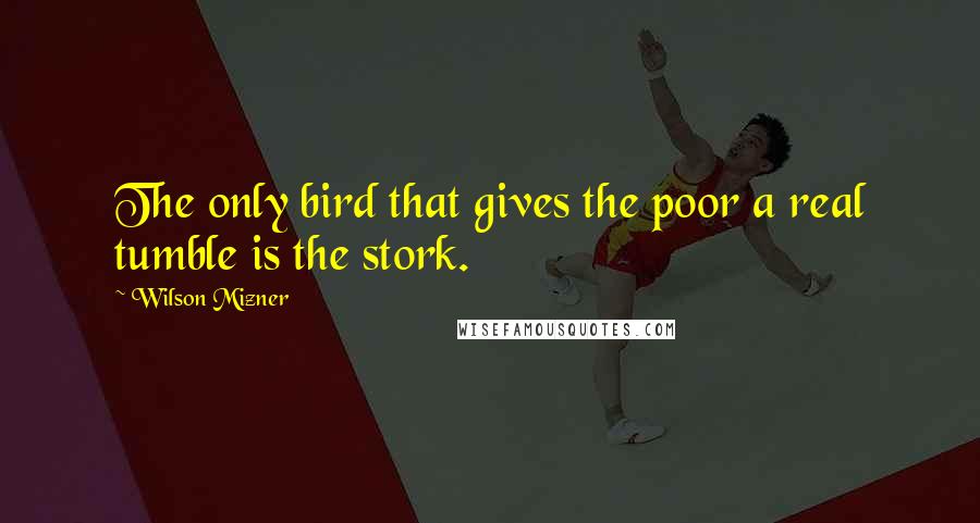 Wilson Mizner Quotes: The only bird that gives the poor a real tumble is the stork.