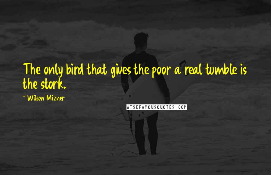 Wilson Mizner Quotes: The only bird that gives the poor a real tumble is the stork.