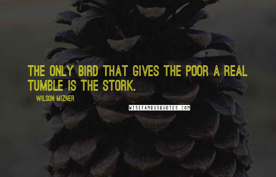 Wilson Mizner Quotes: The only bird that gives the poor a real tumble is the stork.