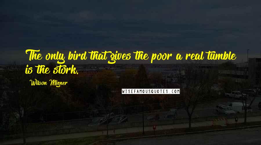 Wilson Mizner Quotes: The only bird that gives the poor a real tumble is the stork.