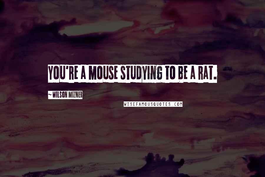 Wilson Mizner Quotes: You're a mouse studying to be a rat.