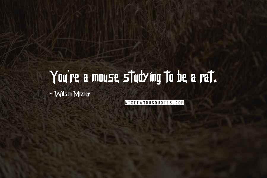 Wilson Mizner Quotes: You're a mouse studying to be a rat.