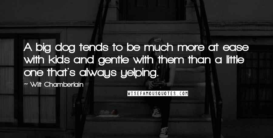Wilt Chamberlain Quotes: A big dog tends to be much more at ease with kids and gentle with them than a little one that's always yelping.