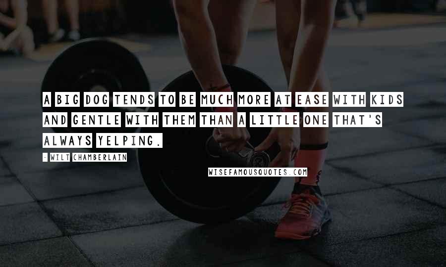Wilt Chamberlain Quotes: A big dog tends to be much more at ease with kids and gentle with them than a little one that's always yelping.