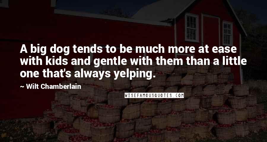 Wilt Chamberlain Quotes: A big dog tends to be much more at ease with kids and gentle with them than a little one that's always yelping.
