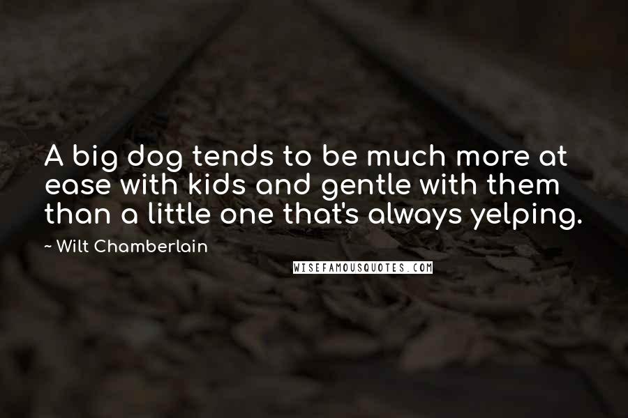 Wilt Chamberlain Quotes: A big dog tends to be much more at ease with kids and gentle with them than a little one that's always yelping.