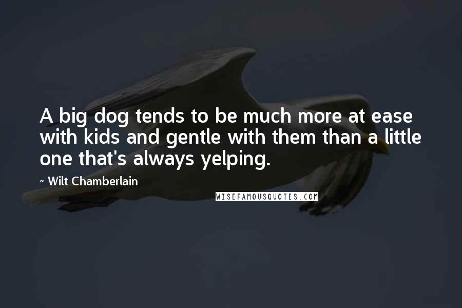 Wilt Chamberlain Quotes: A big dog tends to be much more at ease with kids and gentle with them than a little one that's always yelping.