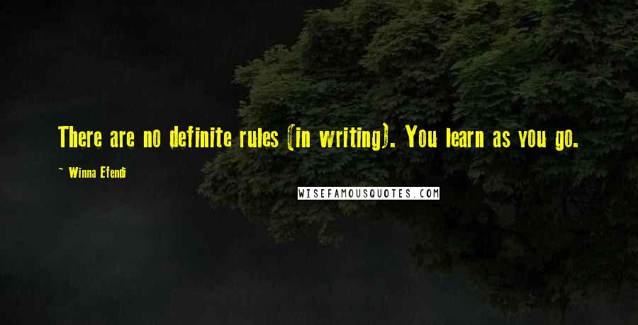 Winna Efendi Quotes: There are no definite rules (in writing). You learn as you go.