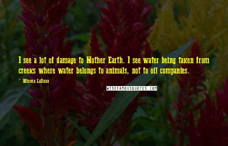 Winona LaDuke Quotes: I see a lot of damage to Mother Earth. I see water being taken from creeks where water belongs to animals, not to oil companies.