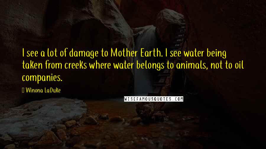 Winona LaDuke Quotes: I see a lot of damage to Mother Earth. I see water being taken from creeks where water belongs to animals, not to oil companies.