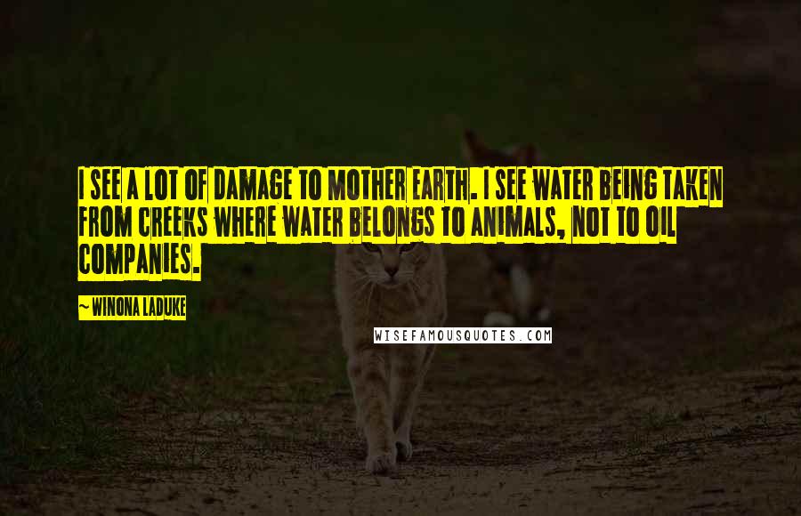 Winona LaDuke Quotes: I see a lot of damage to Mother Earth. I see water being taken from creeks where water belongs to animals, not to oil companies.