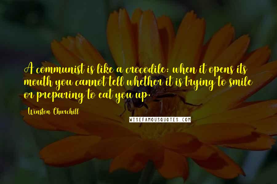 Winston Churchill Quotes: A communist is like a crocodile: when it opens its mouth you cannot tell whether it is trying to smile or preparing to eat you up.