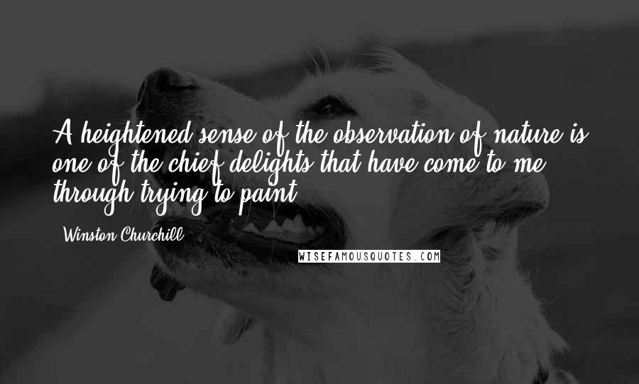Winston Churchill Quotes: A heightened sense of the observation of nature is one of the chief delights that have come to me through trying to paint.
