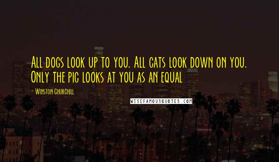 Winston Churchill Quotes: All dogs look up to you. All cats look down on you. Only the pig looks at you as an equal