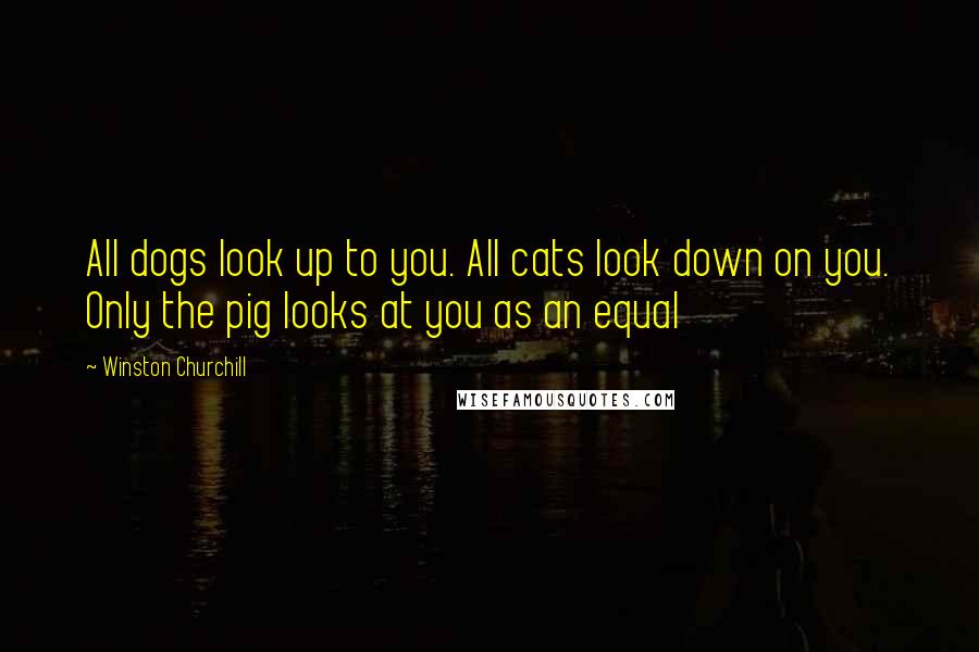 Winston Churchill Quotes: All dogs look up to you. All cats look down on you. Only the pig looks at you as an equal