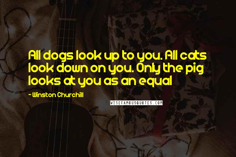 Winston Churchill Quotes: All dogs look up to you. All cats look down on you. Only the pig looks at you as an equal