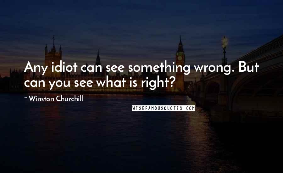 Winston Churchill Quotes: Any idiot can see something wrong. But can you see what is right?