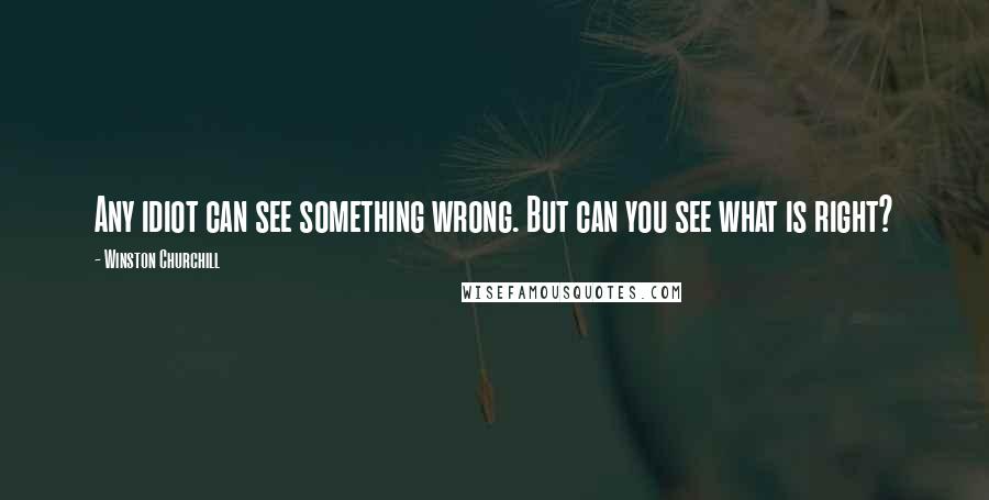 Winston Churchill Quotes: Any idiot can see something wrong. But can you see what is right?