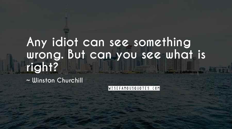 Winston Churchill Quotes: Any idiot can see something wrong. But can you see what is right?