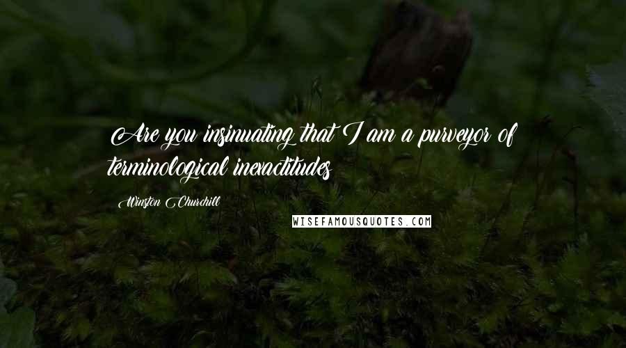 Winston Churchill Quotes: Are you insinuating that I am a purveyor of terminological inexactitudes?