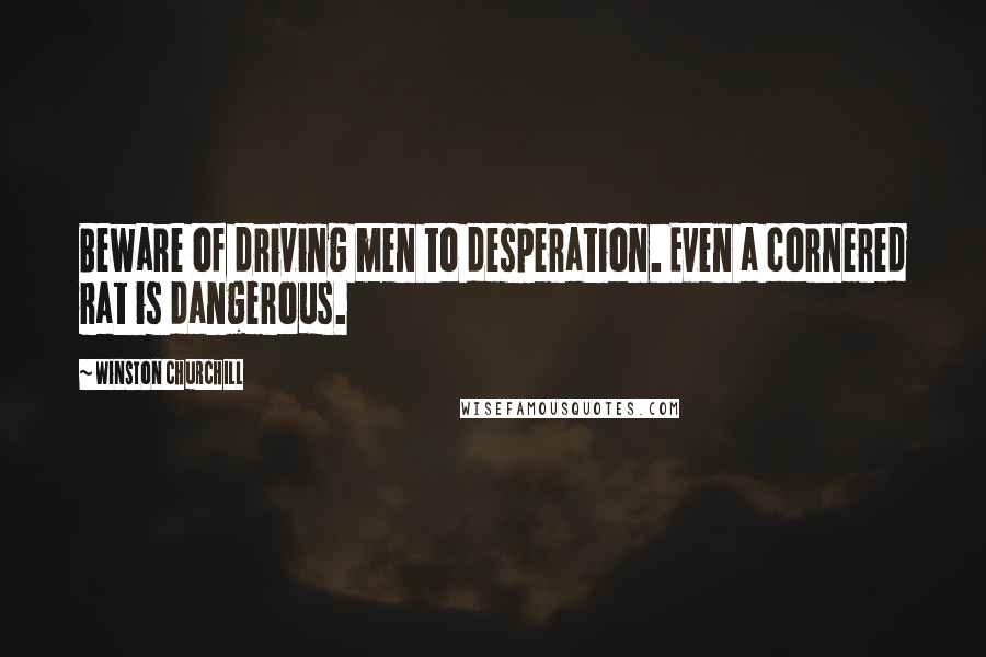 Winston Churchill Quotes: Beware of driving men to desperation. Even a cornered rat is dangerous.